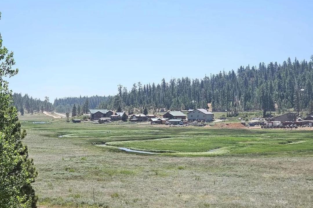 Photo of Others in Meadow View Heights