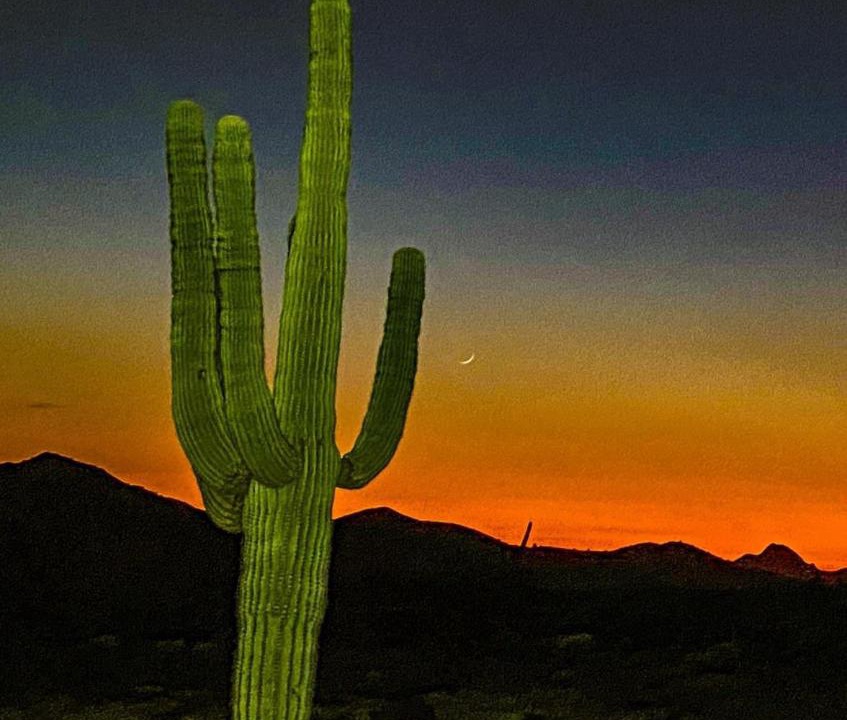 Photo of Others in Fountain Hills