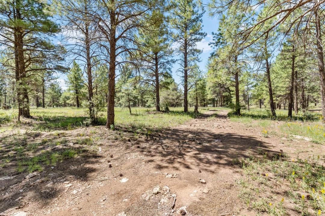 Photo of Others in Flagstaff