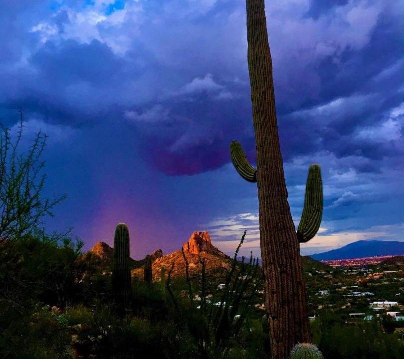 Photo of Others in Camelback East