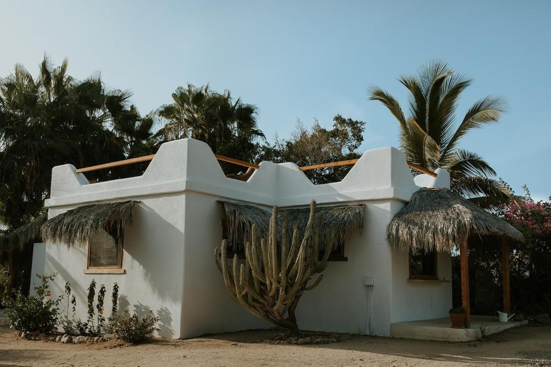 Photo of Others in Todos Santos