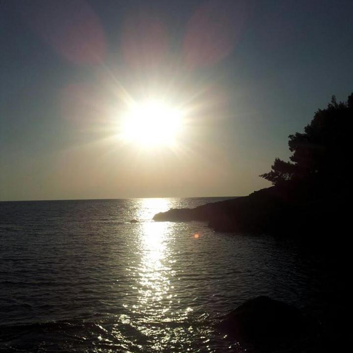 Photo of Others in Dobra Voda