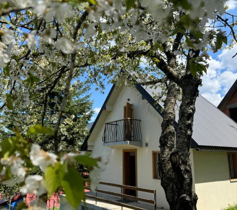 Photo of Others in Kolasin