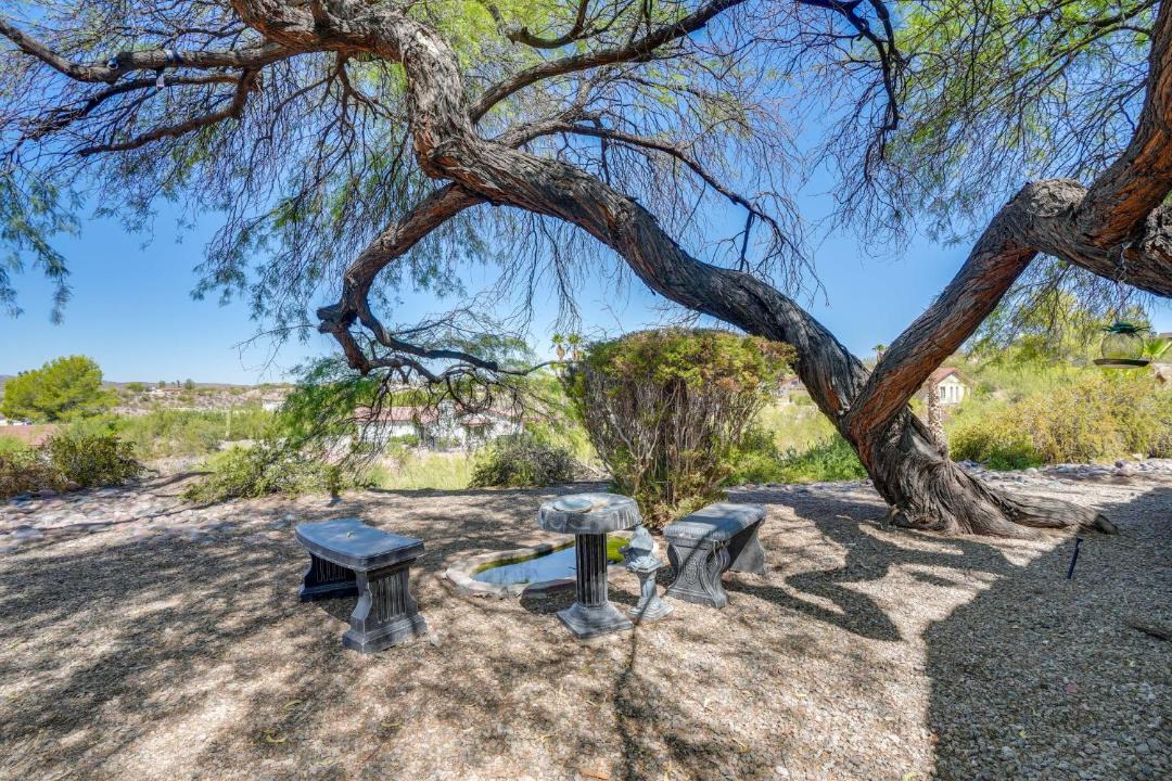 Photo of Others in Wickenburg