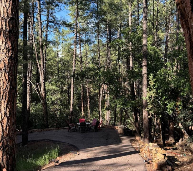Photo of Others in Pine