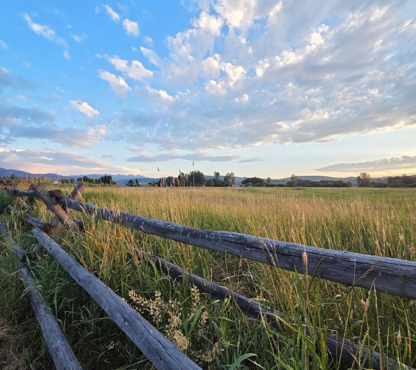 Photo of Others in Bozeman