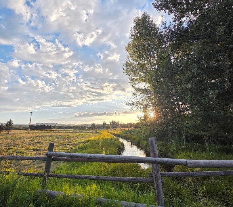 Photo of Others in Bozeman