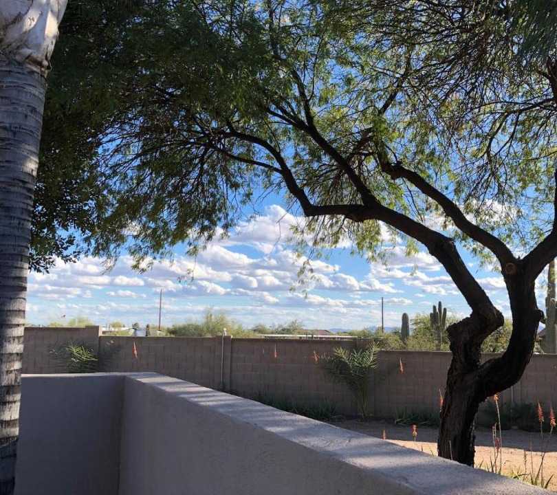 Photo of Others in East Mesa