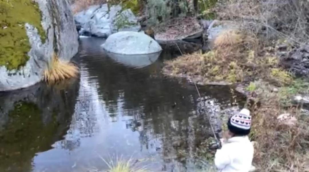 Photo of Others in Miramonte