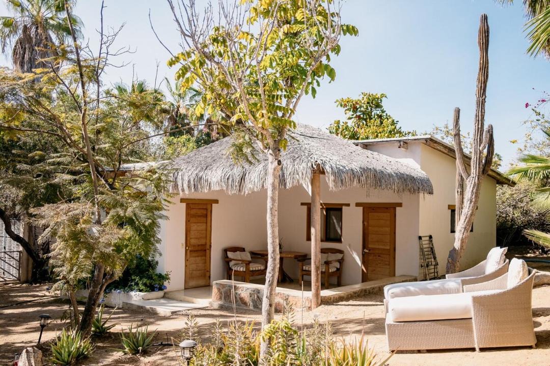 Photo of Others in Todos Santos