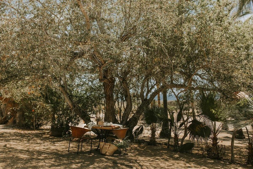 Photo of Others in Todos Santos