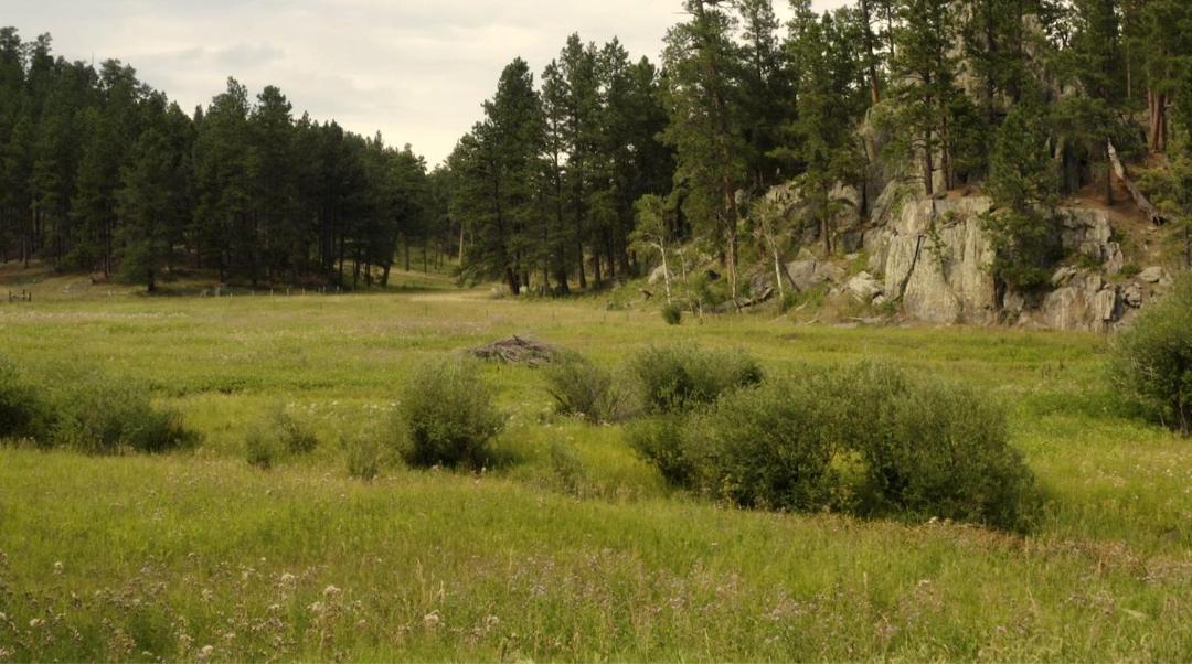 Photo of Others in Rapid City