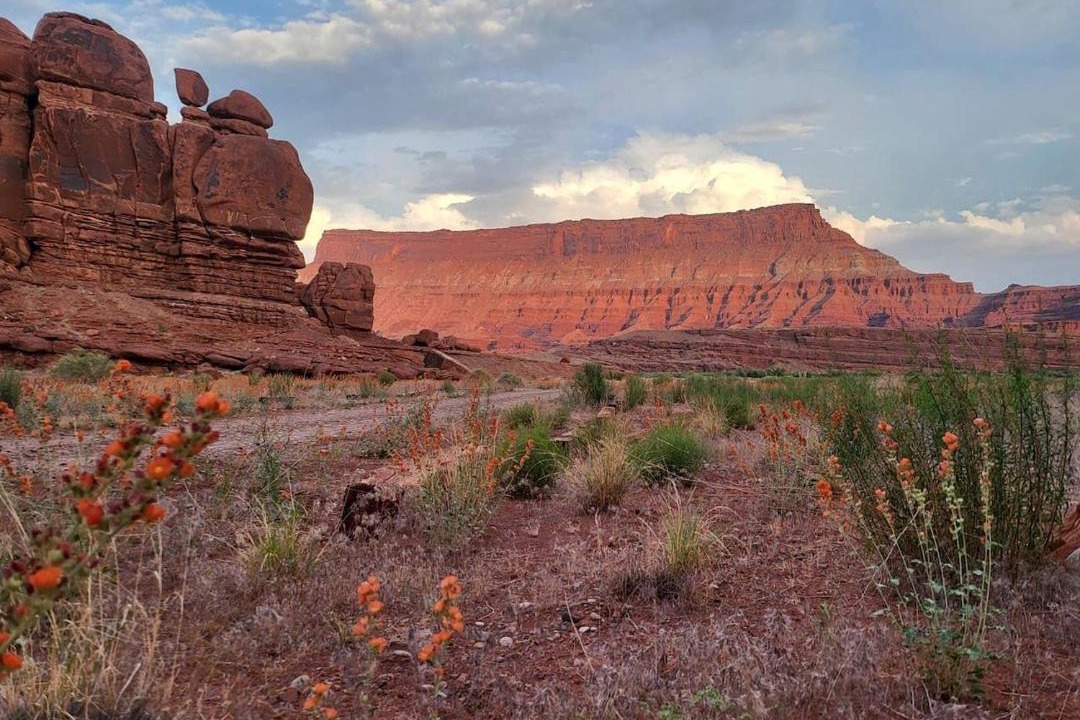 Photo of Others in Moab