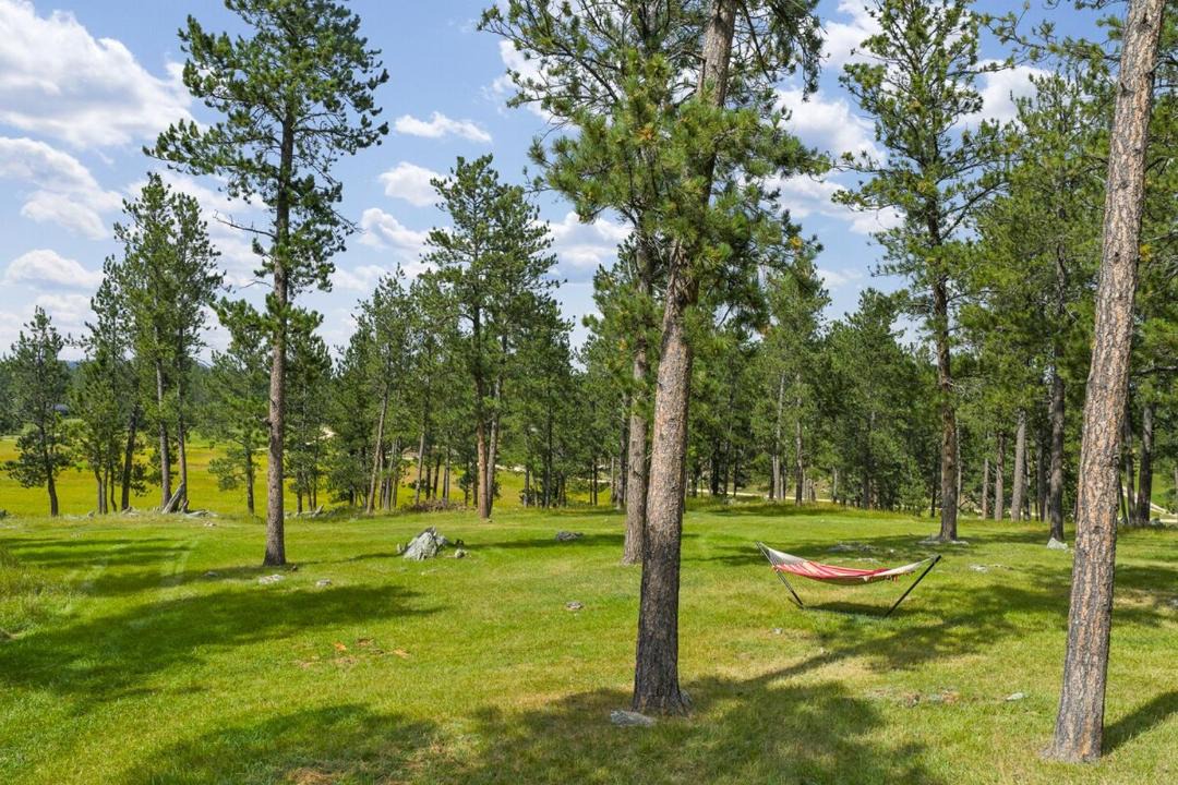Photo of Others in Custer