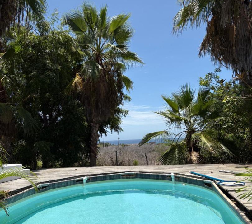 Photo of Others in Todos Santos