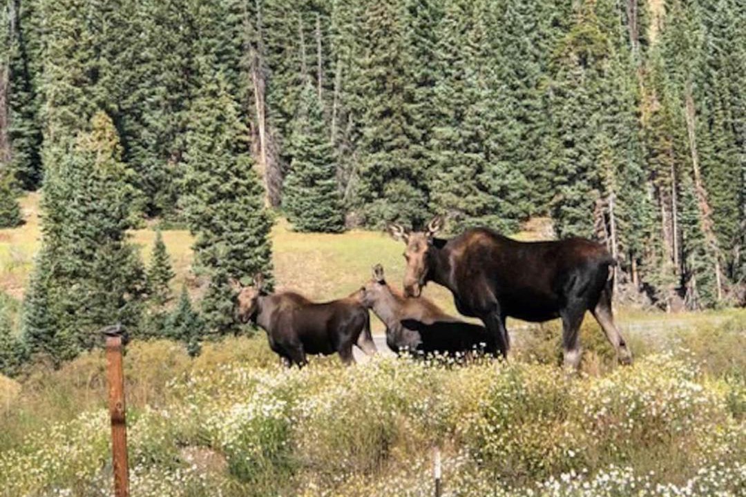 Photo of Others in Breckenridge