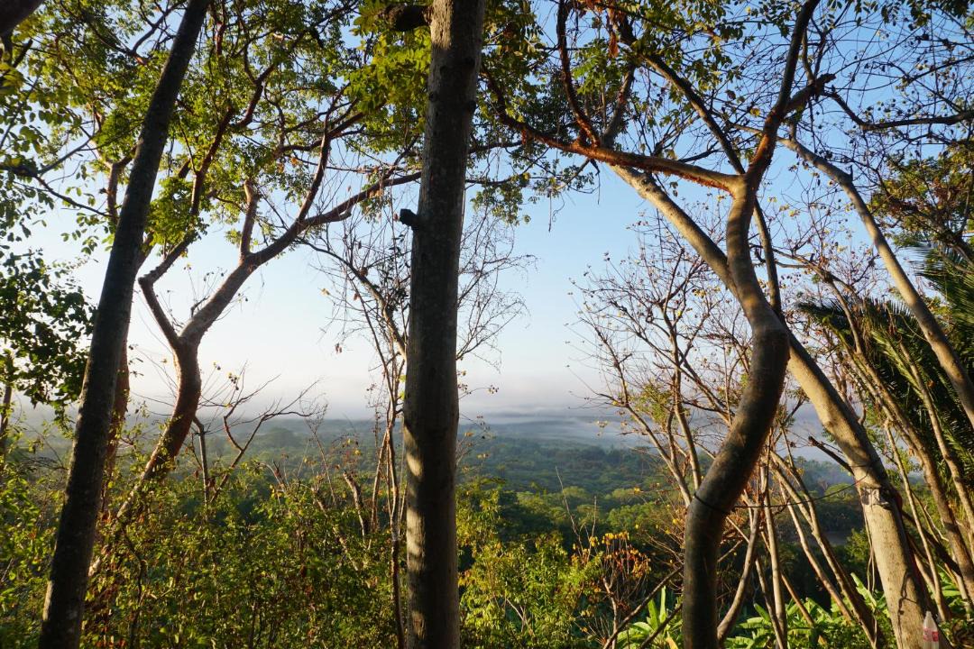 Photo of Others in Nayarit