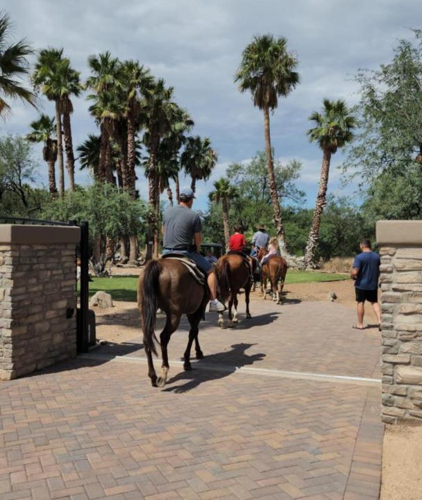 Photo of Others in Tanque Verde