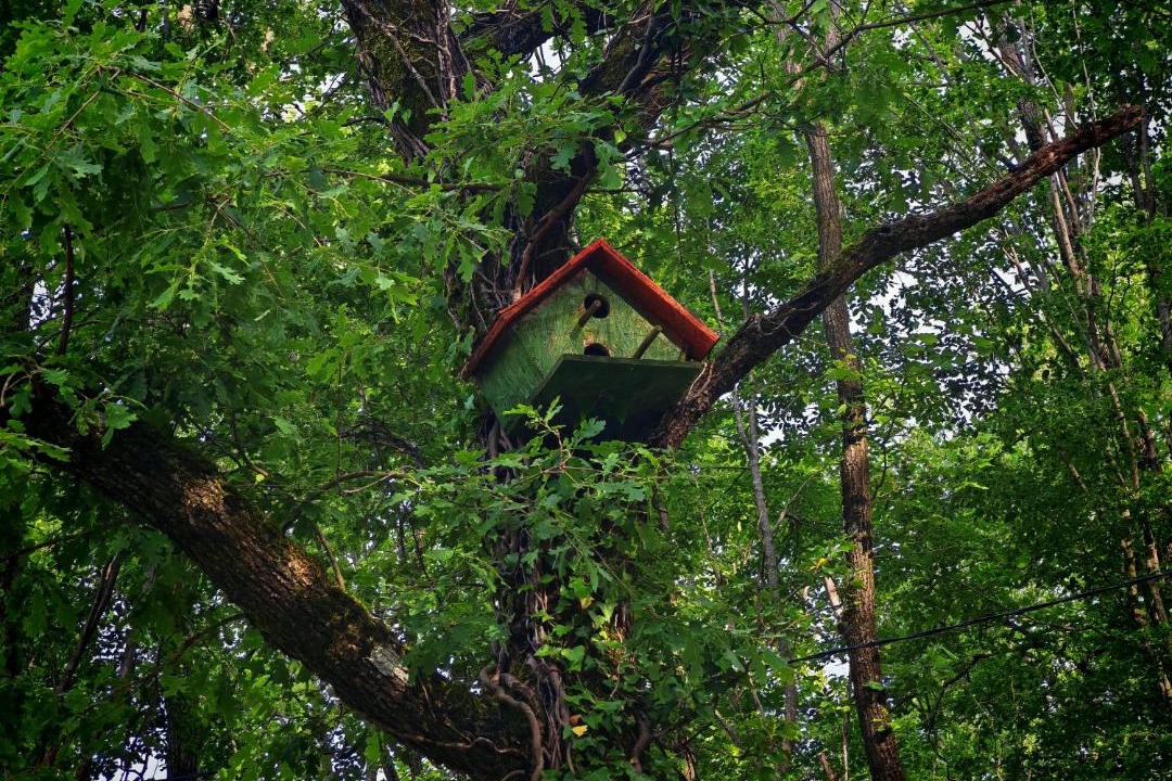 Photo of Others in Karuc