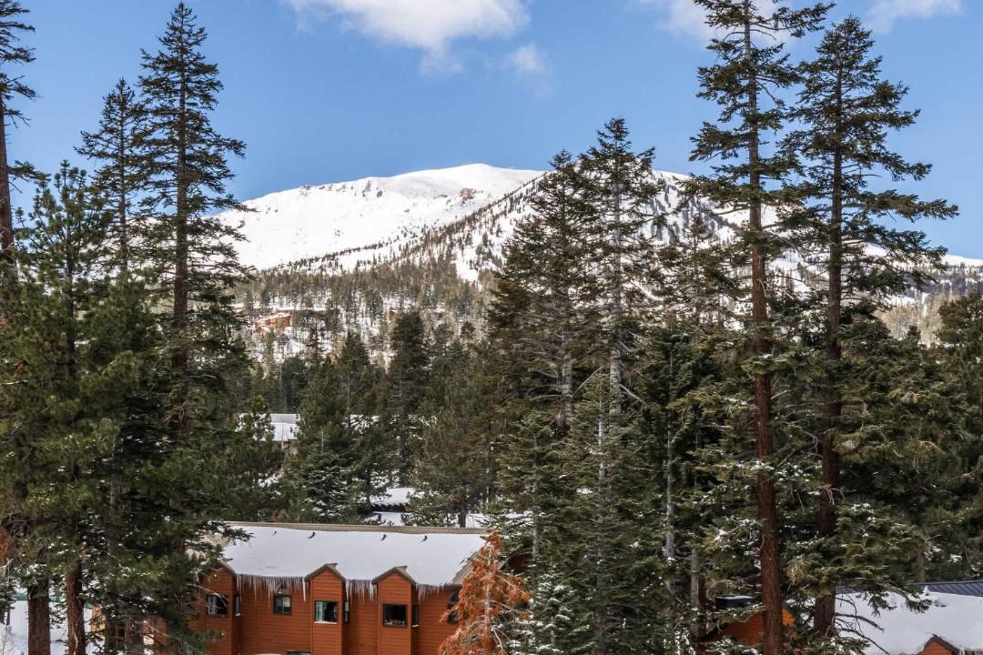 Photo of Others in Mammoth Lakes