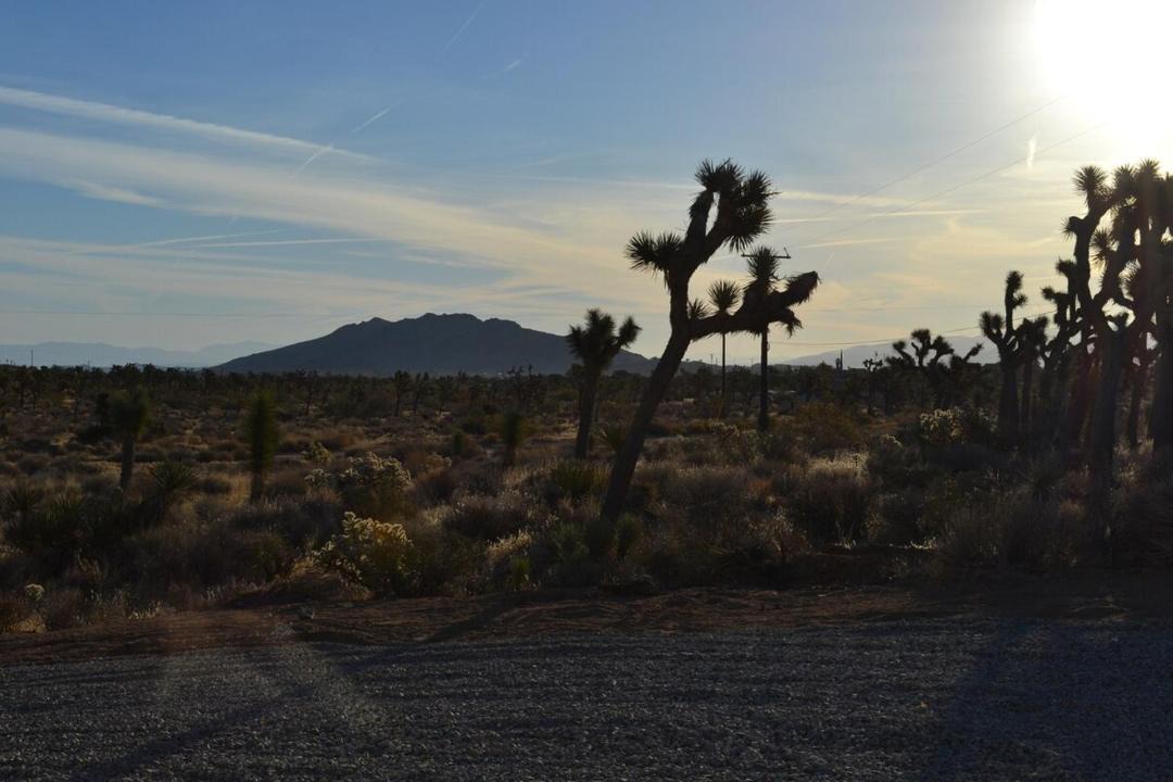 Photo of Others in Yucca Valley