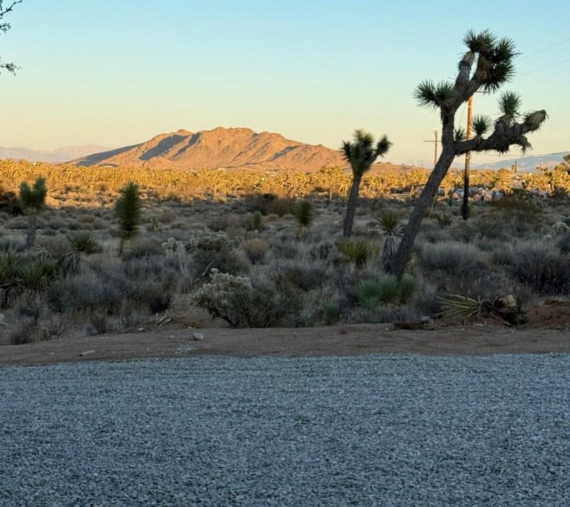 Photo of Others in Yucca Valley