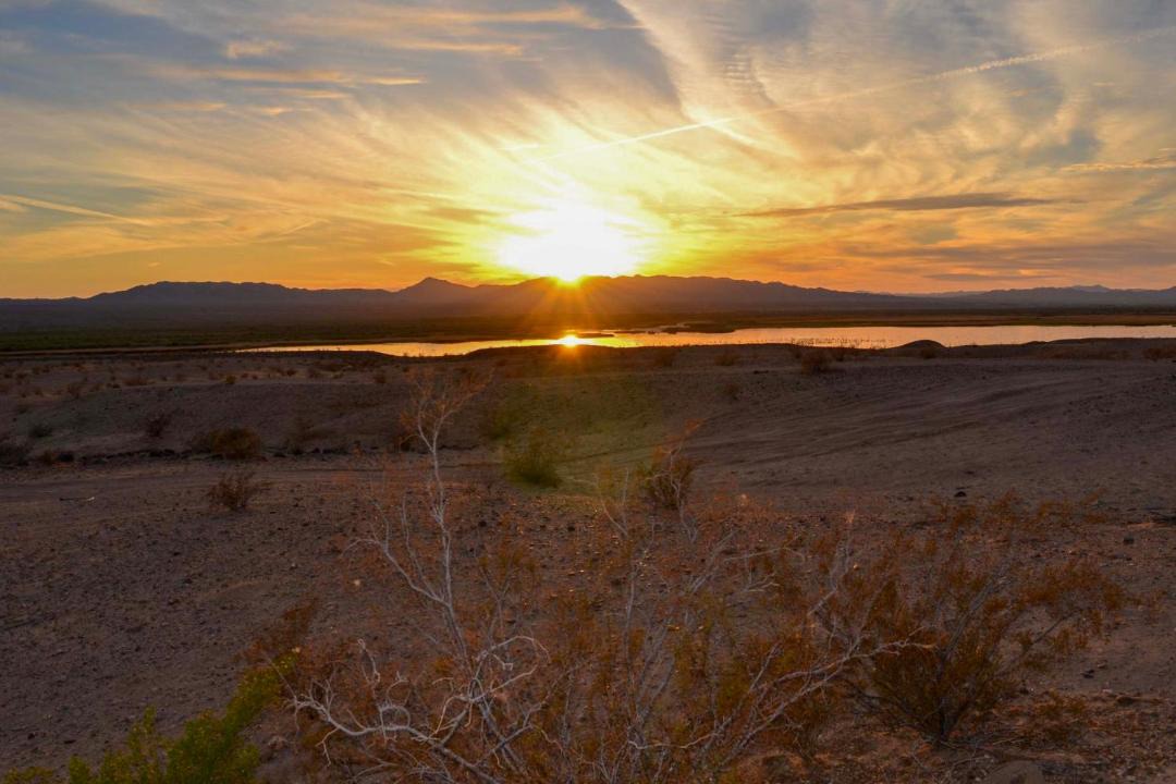 Photo of Others in Mohave Valley