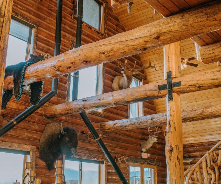 Photo of Others in West Yellowstone