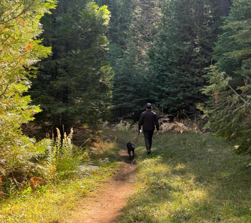 Photo of Others in Sierra Cedars