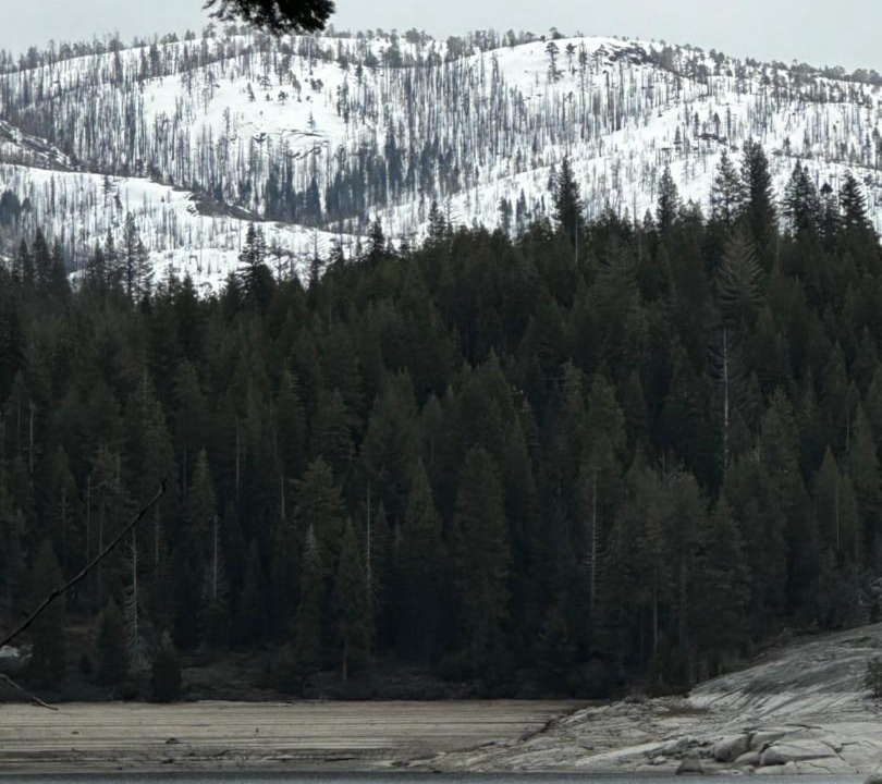Photo of Others in Sierra Cedars