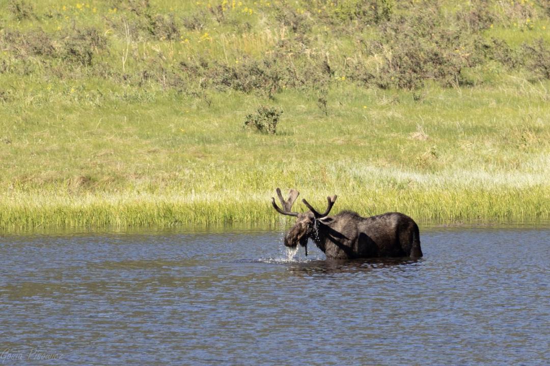 Photo of Others in Estes Park