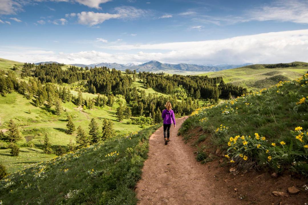Photo of Others in Bozeman