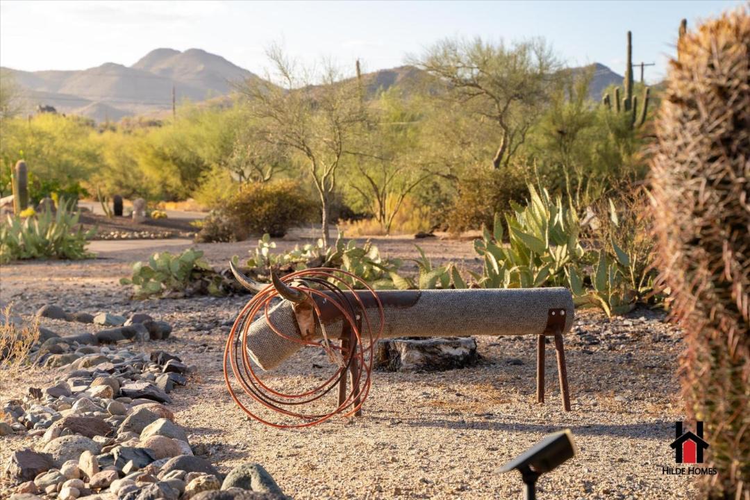 Photo of Others in Cave Creek