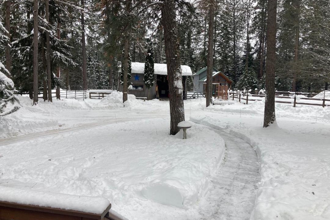 Photo of Others in Sandpoint