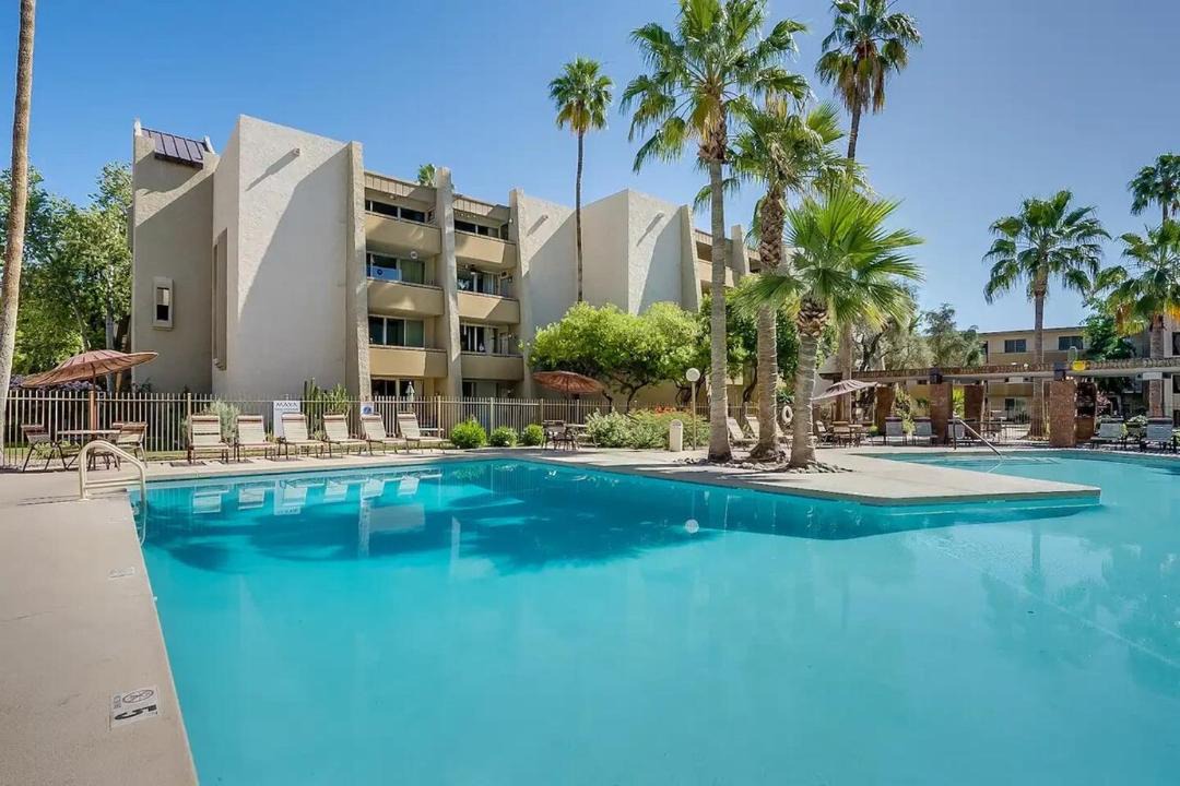 Photo of Others in South Scottsdale