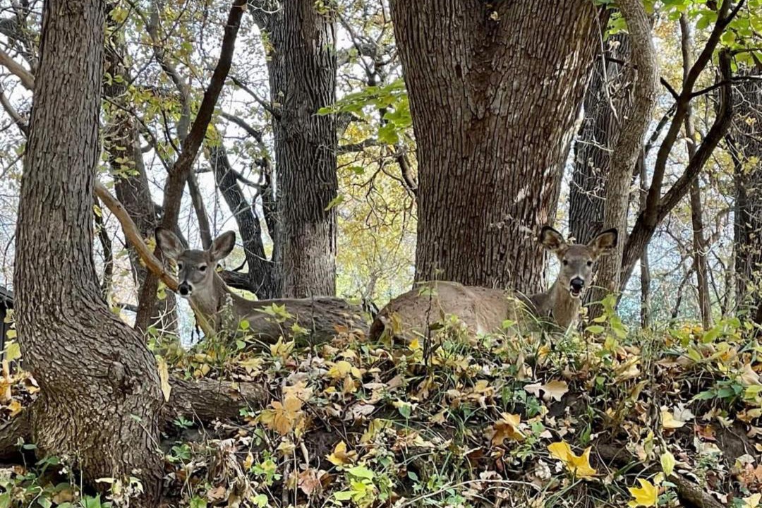 Photo of Others in Okoboji