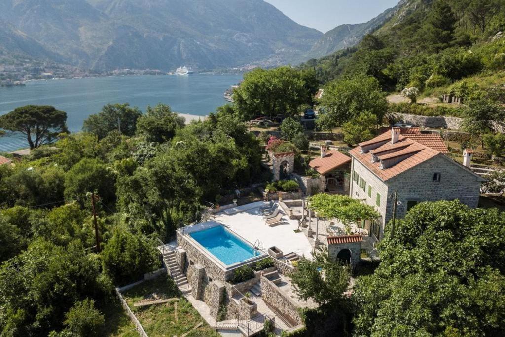 Photo of Others in Kotor