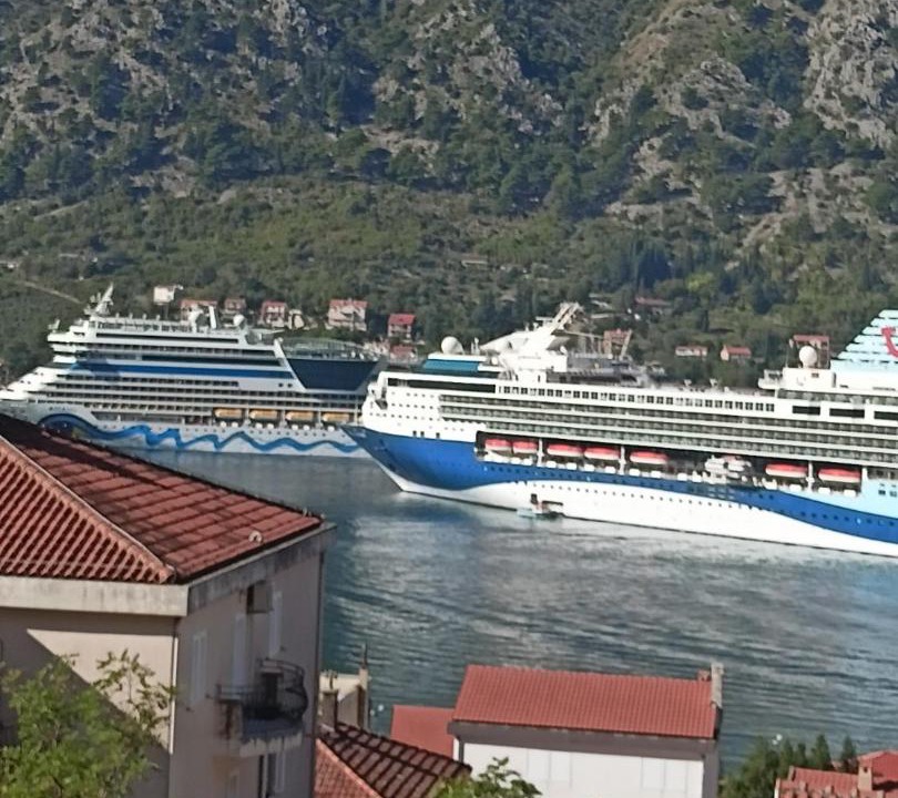 Photo of Others in Kotor