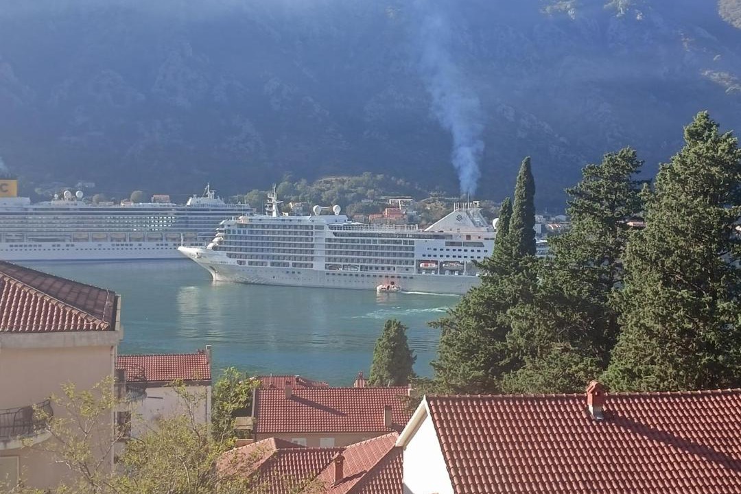 Photo of Others in Kotor