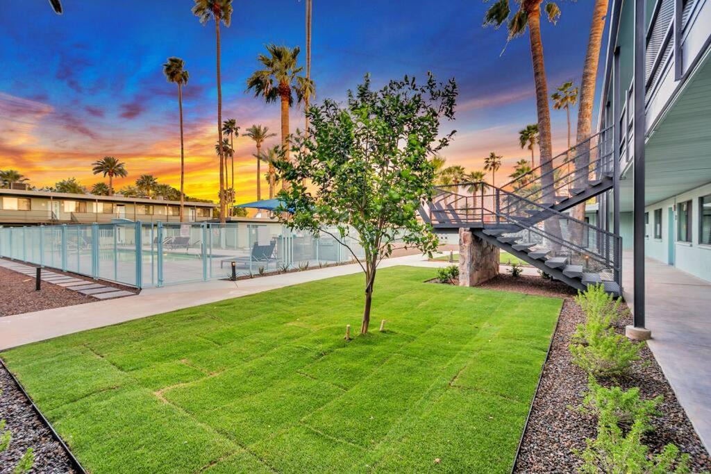 Photo of Others in South Scottsdale