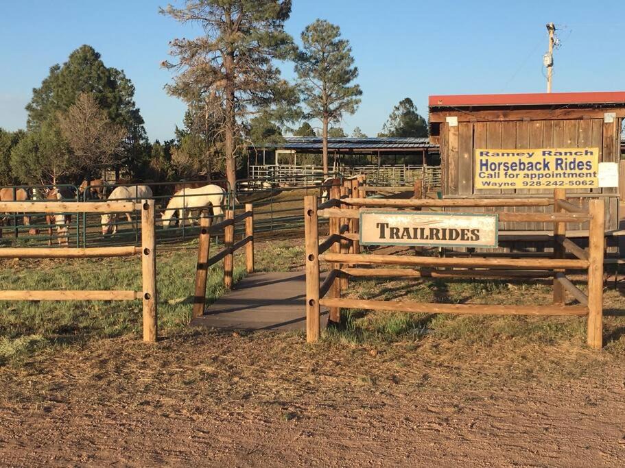 Photo of Others in Heber