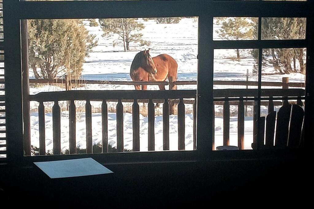 Photo of Others in Heber