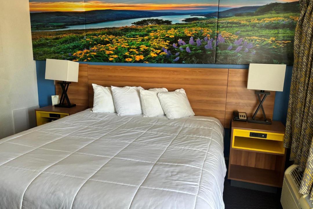 Photo of Bedroom in Needles