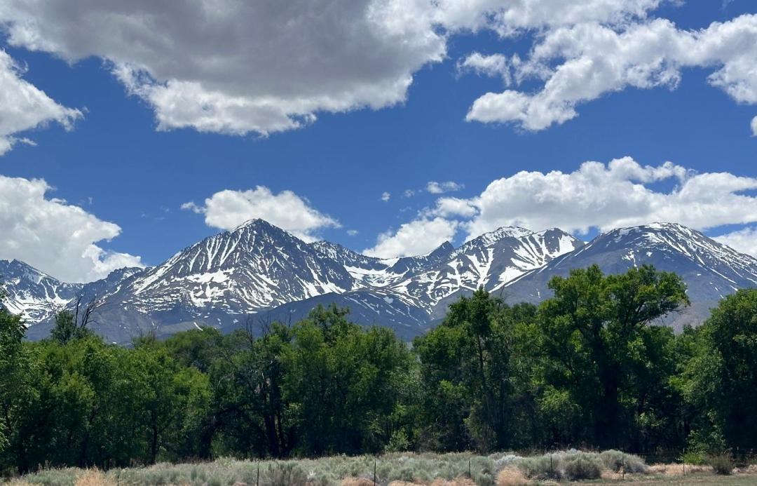 Photo of Others in Big Pine