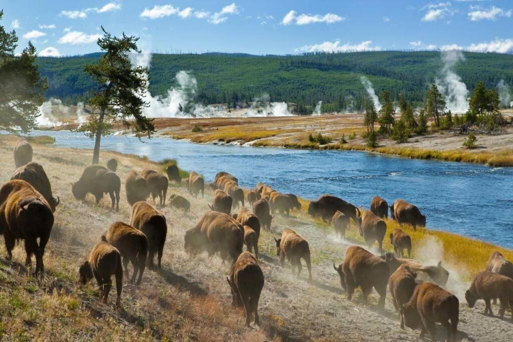 Photo of Others in Rexburg