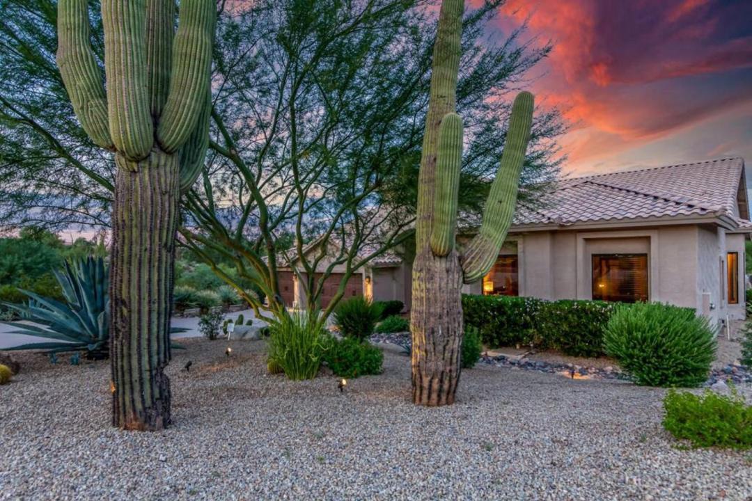 Photo of Others in Fountain Hills