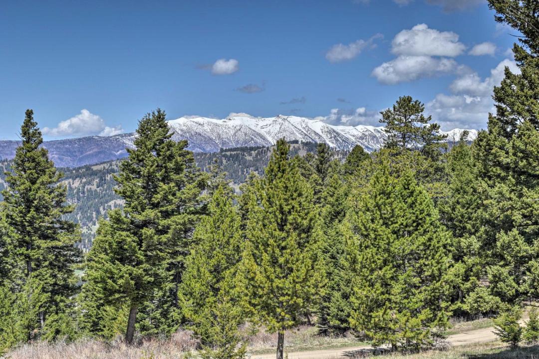 Photo of Others in Bozeman