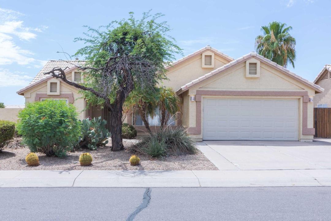 Photo of Others in Chandler