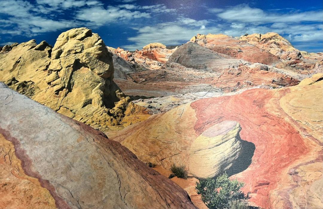 Photo of Others in Moapa Valley