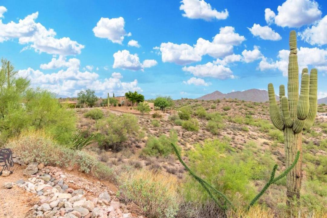 Photo of Others in Fort McDowell